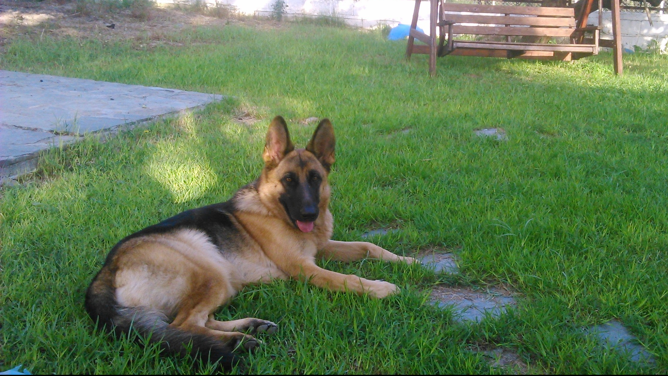 Οι γαμπροί της Σάρας.