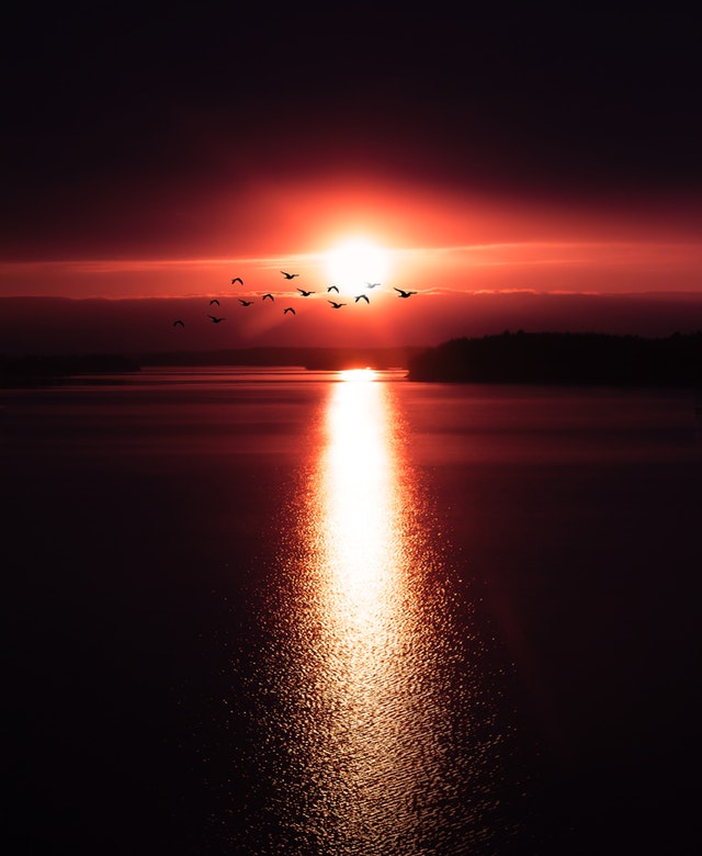 Η αγάπη δεν φυλακίζεται, ούτε φυλακίζει