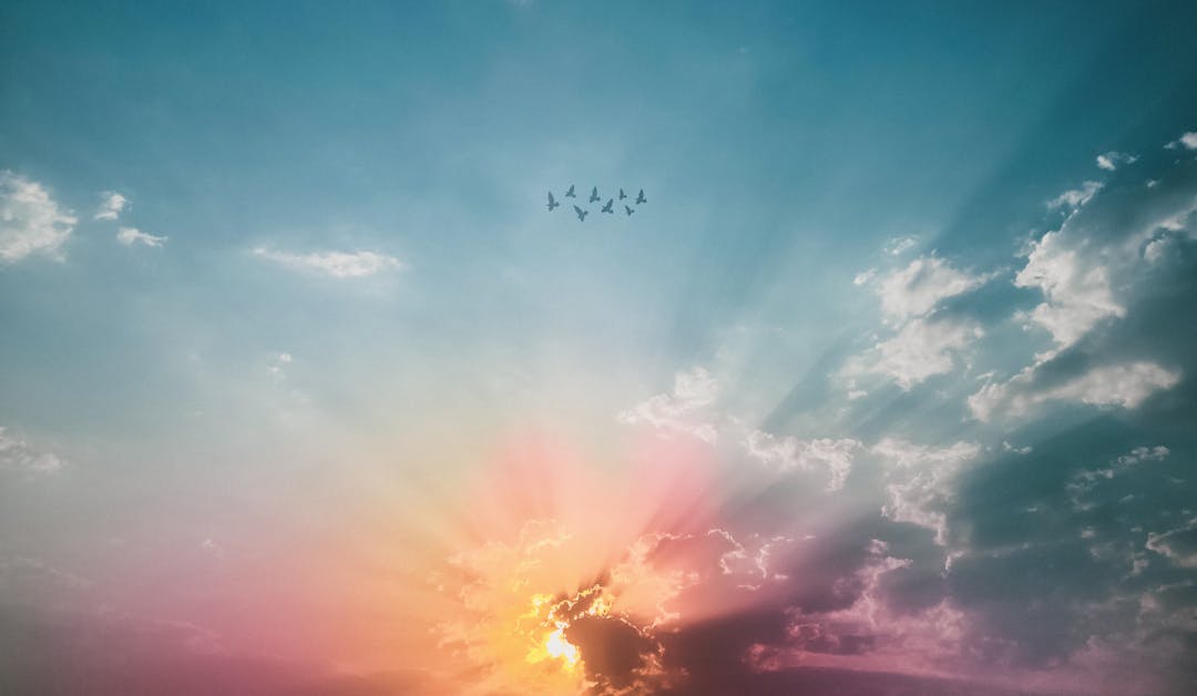 Γι’ αυτούς που προδόθηκαν, η Ανάσταση έρχεται. Κι οι Ιούδες μένουν πάντα εκεί, κρεμασμένα, άδεια κορμιά…